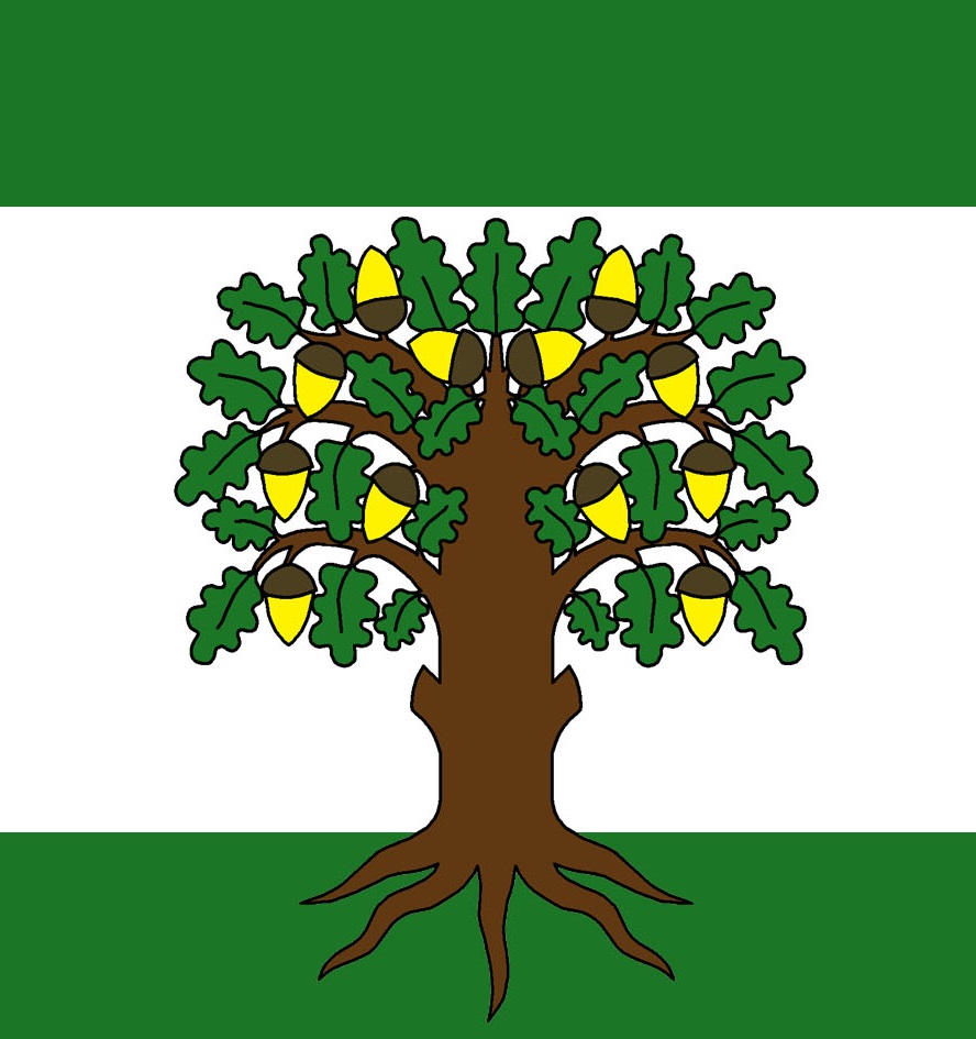 Český Dub,vlajka